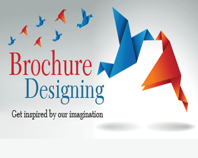Brochure Designing company hidden web solutions