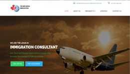 TheNewWorld Immigration by MLM Company Hidden Web Solutions